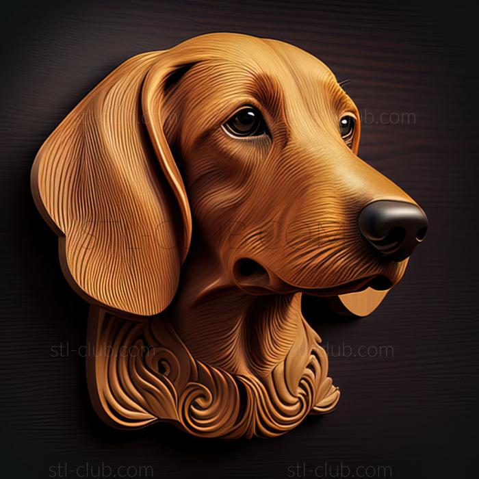 st Dachshund dog